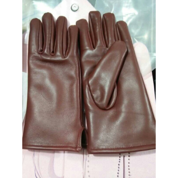 Fashion Gloves